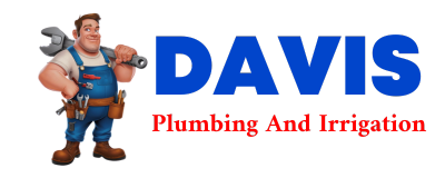 Trusted plumber in LOUIN