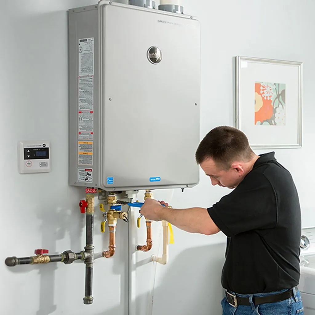 tankless water heater repair in Louin, MS